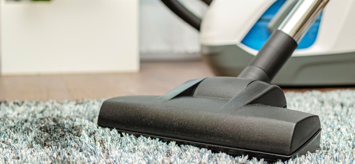 Top-rated vacuum cleaners for 2024 at David's Vacuums